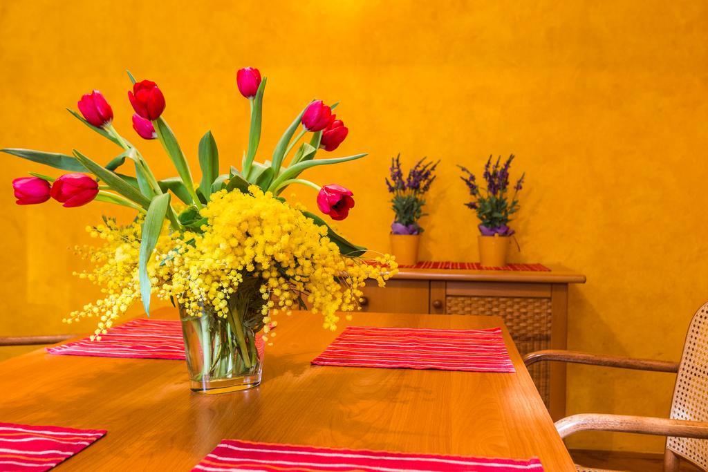 זאדאר Lavender Apt. W. Balcony In Old Town חדר תמונה